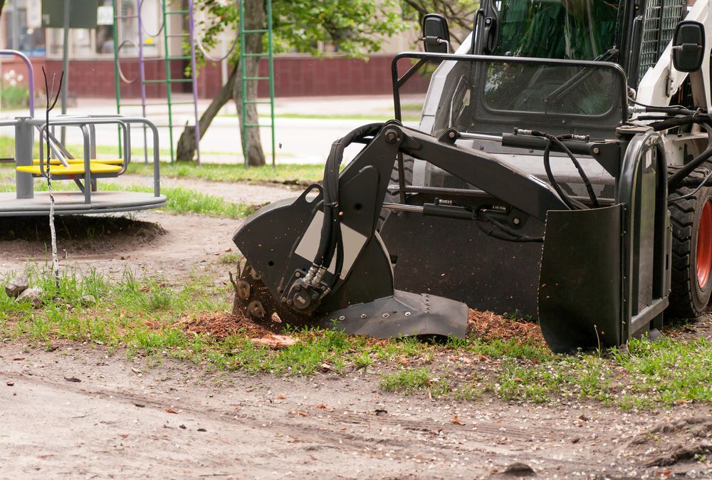 Stump Grinder Working on a Tree Stump in a Park, Near a Merry-go-round — Agile Arbor Pty Limited in Blue Mountains, NSW