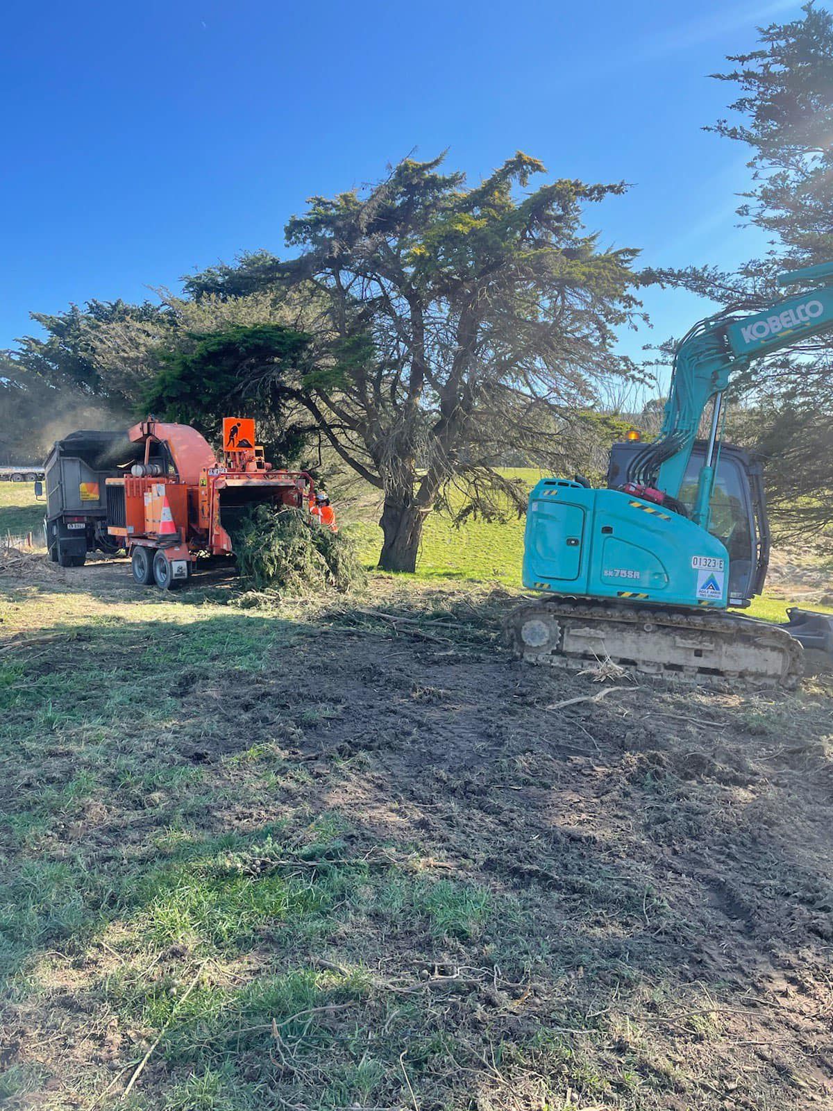 An Excavator Loads Green Debris Into a Wood Chipper — Agile Arbor Pty Limited in Blue Mountains, NSW