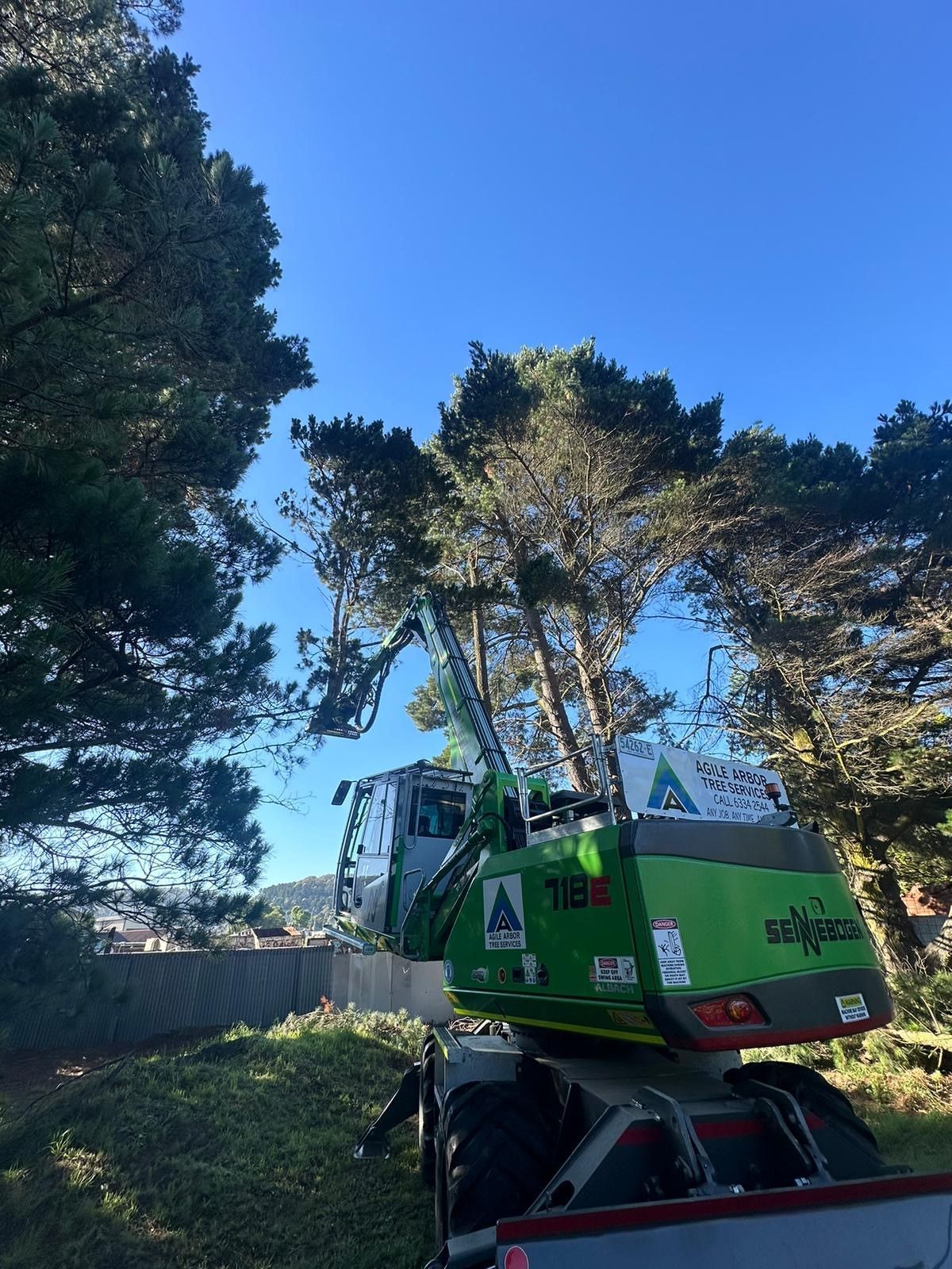 Green Tree-trimming Machine Cutting Branches of a Tall Tree Against a Blue Sky — Agile Arbor Pty Limited in Lithgow, NSW
