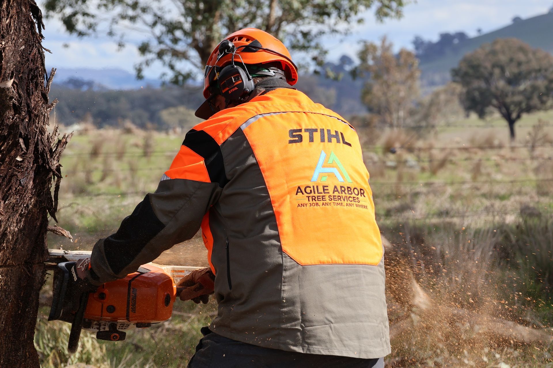 An Excavator Using a Cutting Tool to Fell a Tree Trunk in a Rural Setting — Agile Arbor Pty Limited in Lithgow, NSW