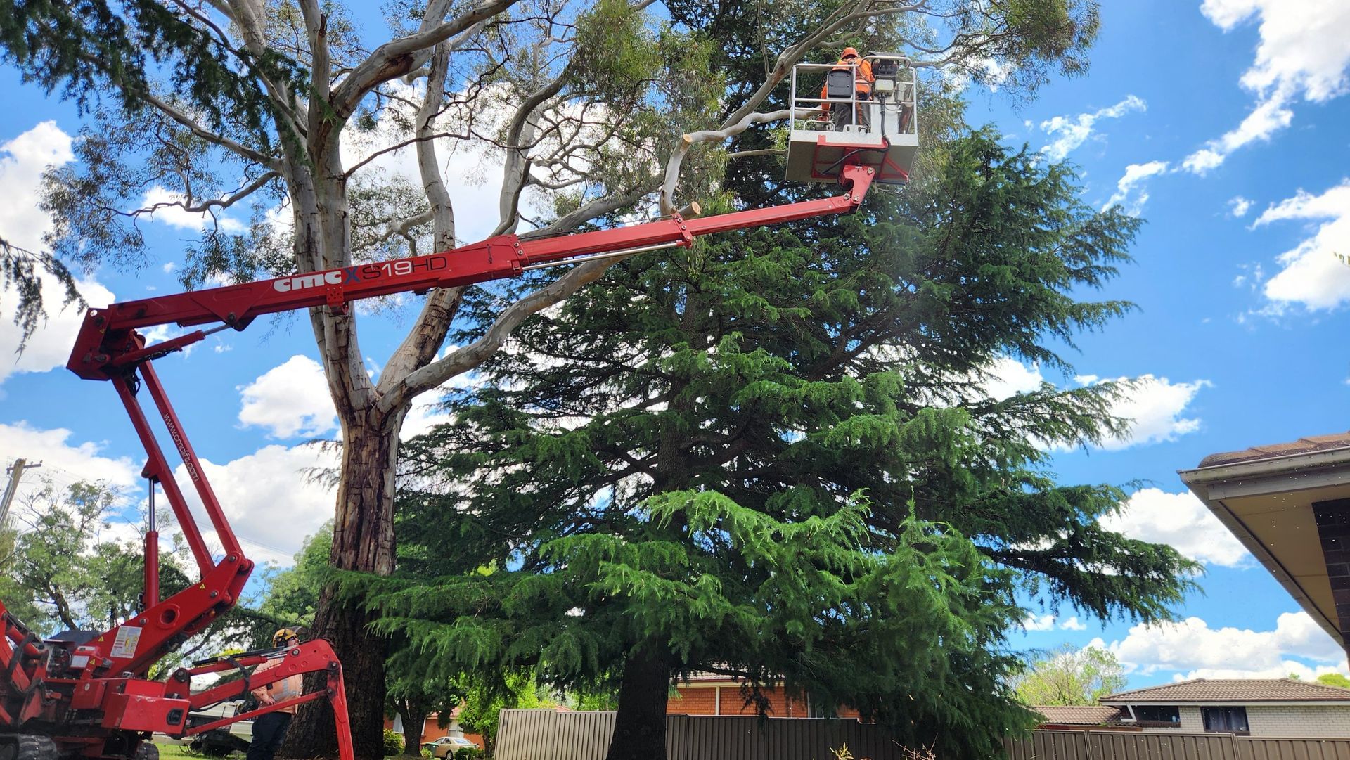Tree trimmer in a red lift truck, trimming a large tree — Agile Arbor Pty Limited in Kelso, NSW