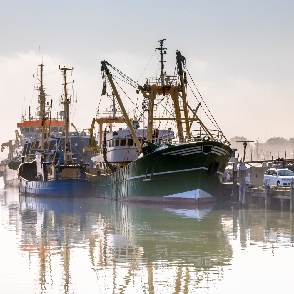 A group of boats are docked in a harbor on a foggy day.