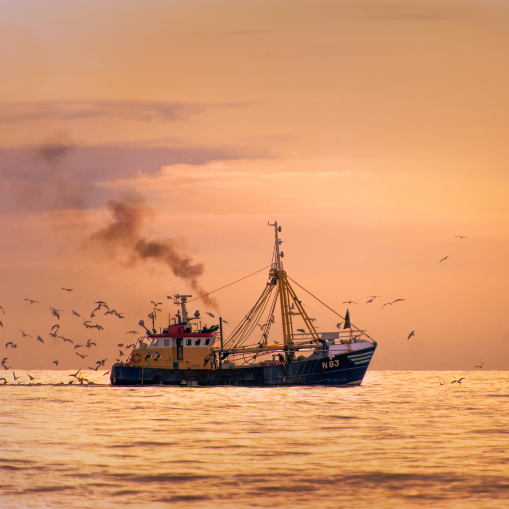A boat in the ocean with a sunset in the background