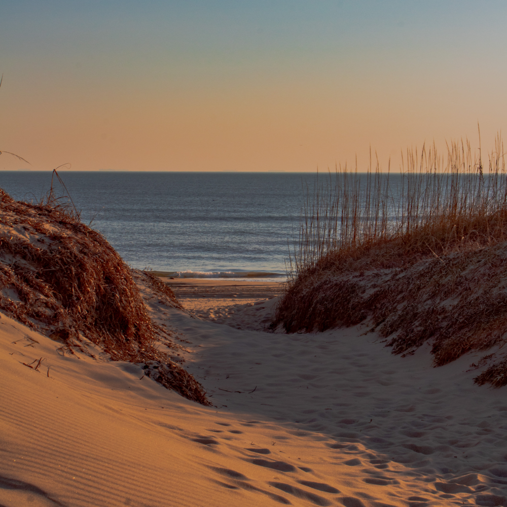 A path leading to the ocean from a sand dune.
