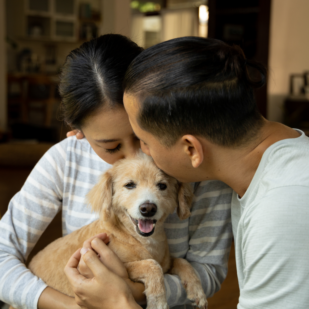 A man is kissing a woman on the cheek while holding a dog