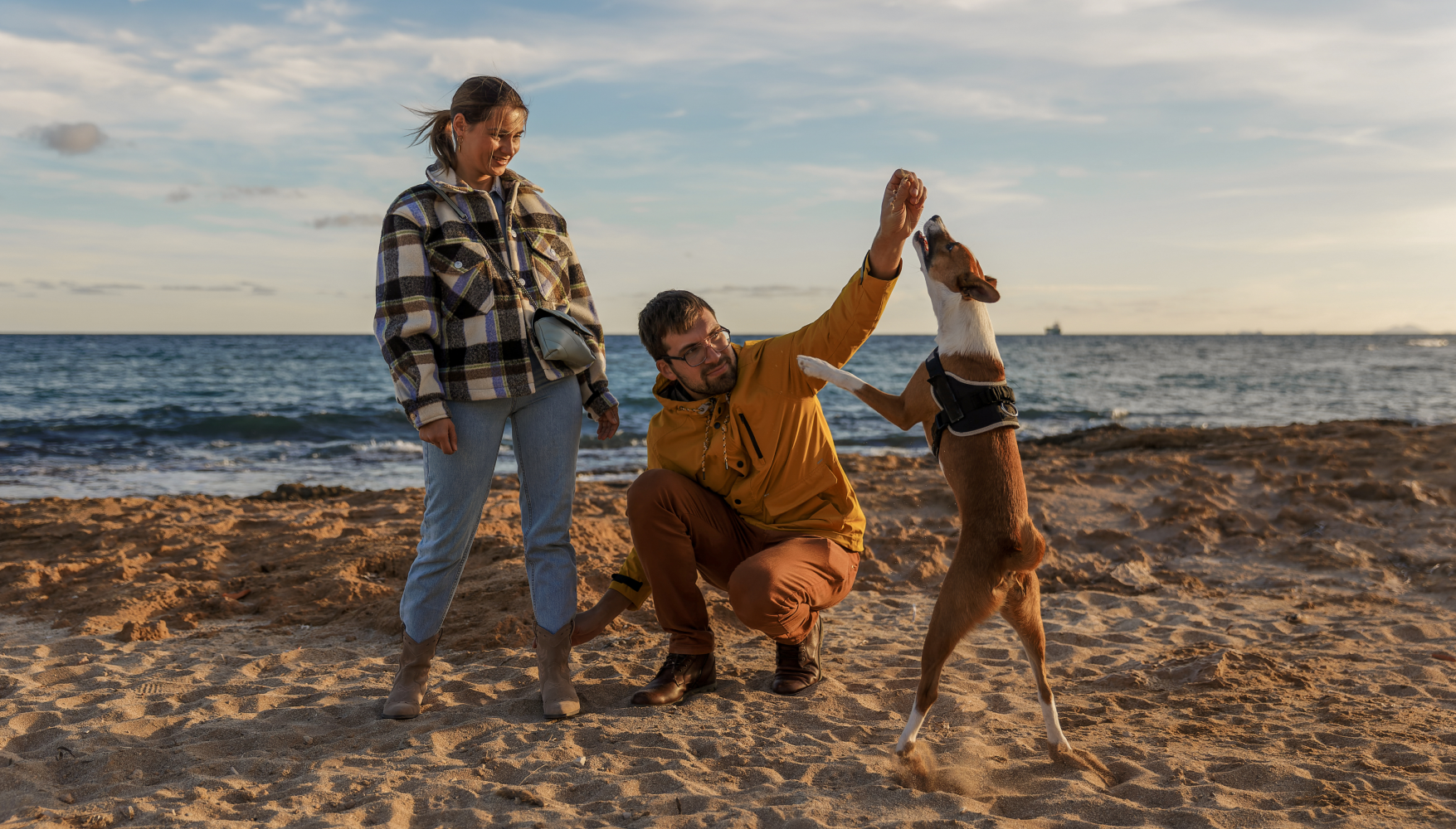 A man and a woman are playing with a dog on the beach.