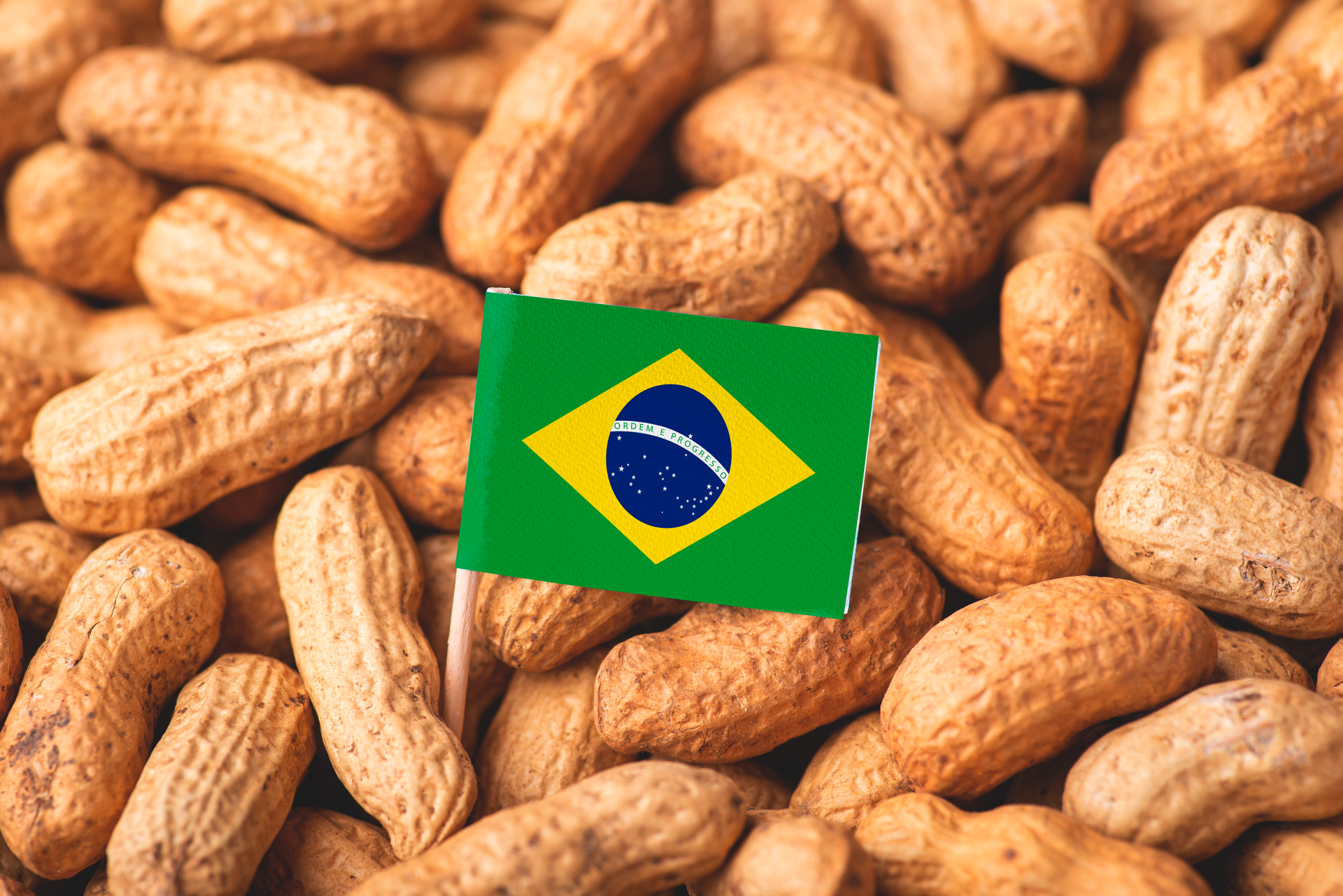 Uma pequena bandeira está saindo de uma pilha de amendoins.