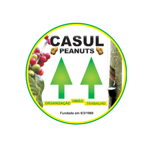 Um logotipo para casul amendoim mostra árvores e feijões