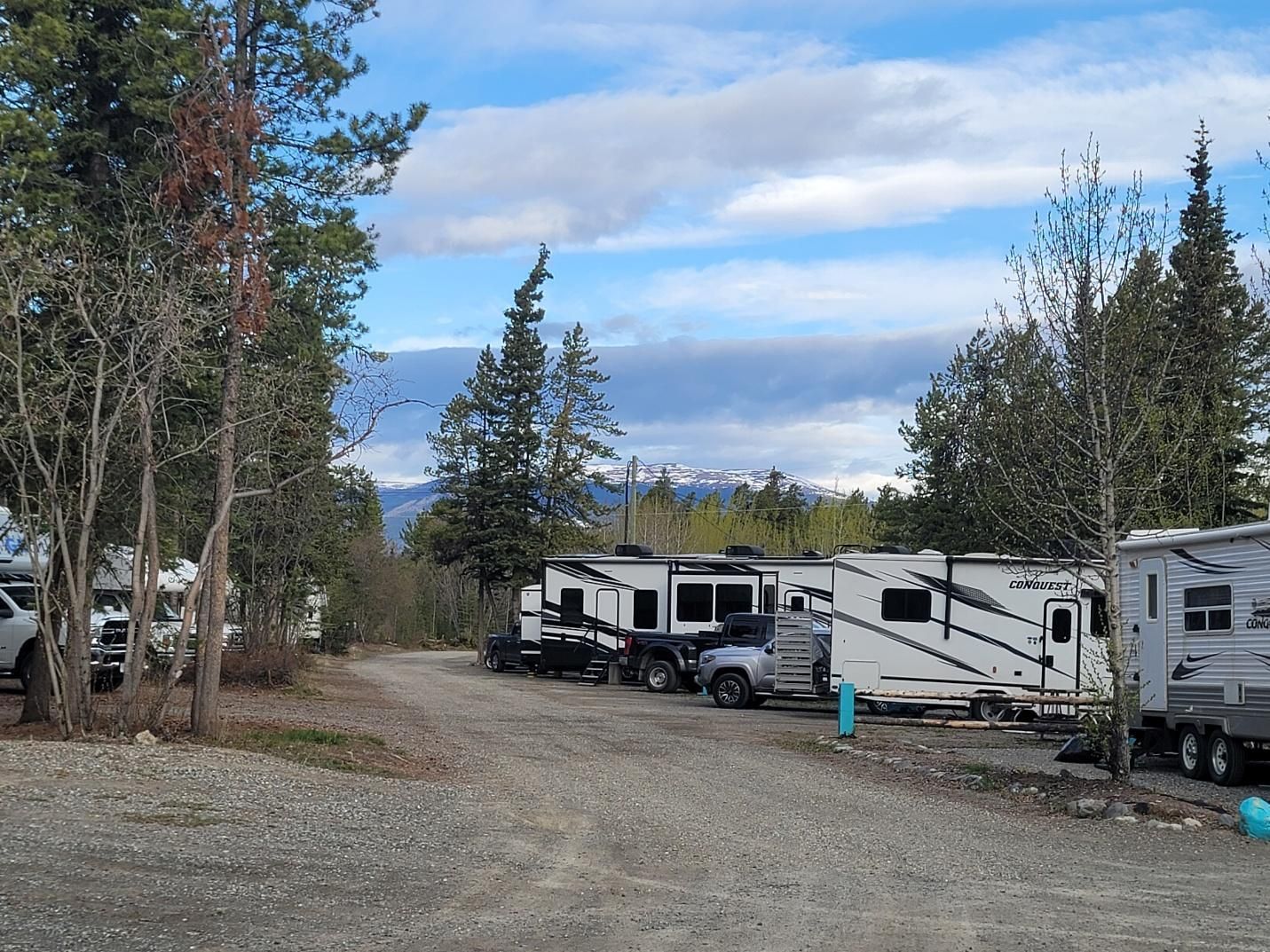 RVs in pull-through and back-in campsites at Carabou RV Park, Yukon, Canada