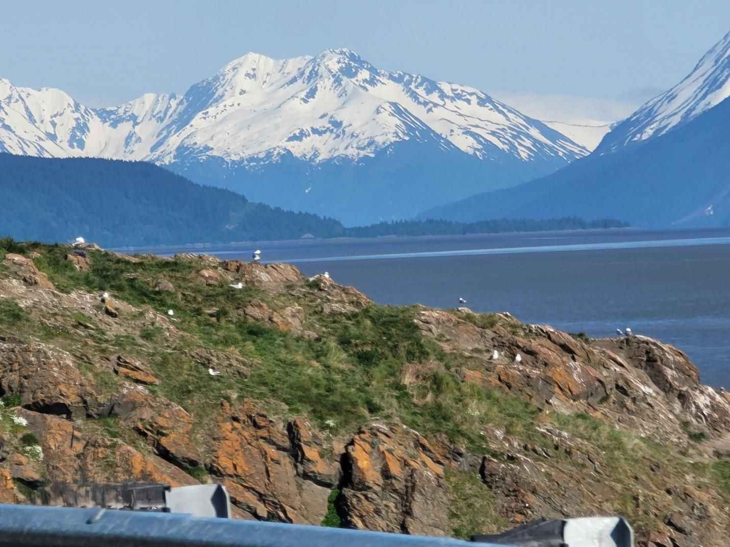 Rocky hillside with seabirds, overlooking a calm bay and snow-capped mountains.
