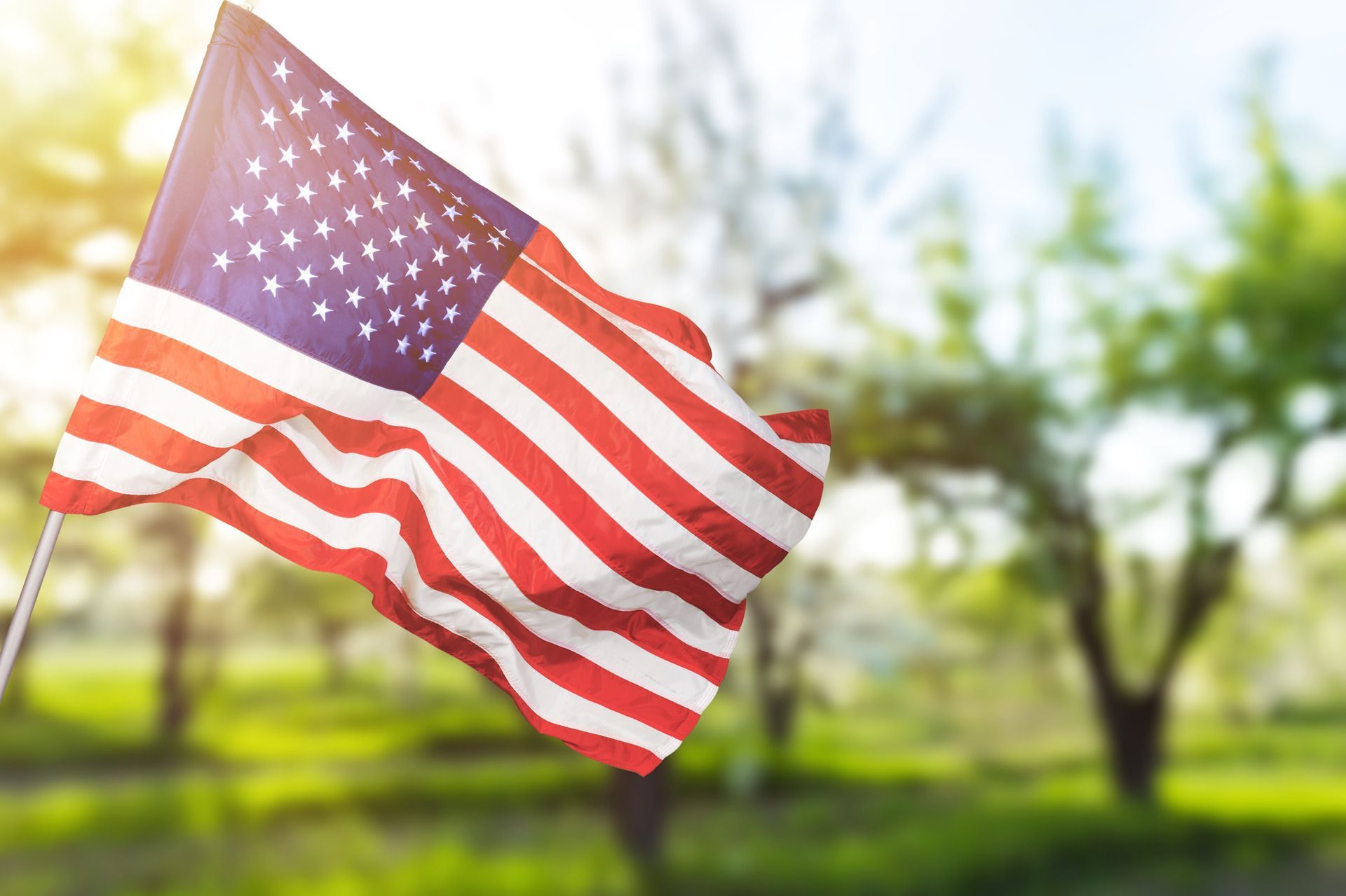 American flag waving outdoors against a bright, blurred green background
