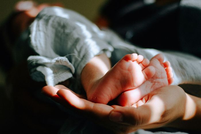 a picture of an adult hand holding 2 baby feet