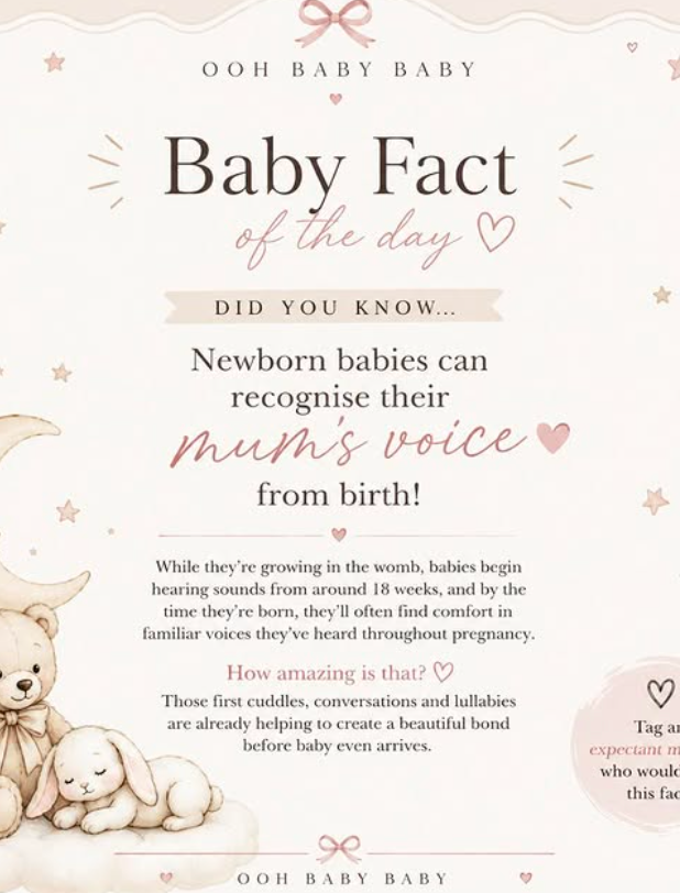 Baby fact card with teddy bears and pastel hearts: newborns recognize their mom's voice from birth.