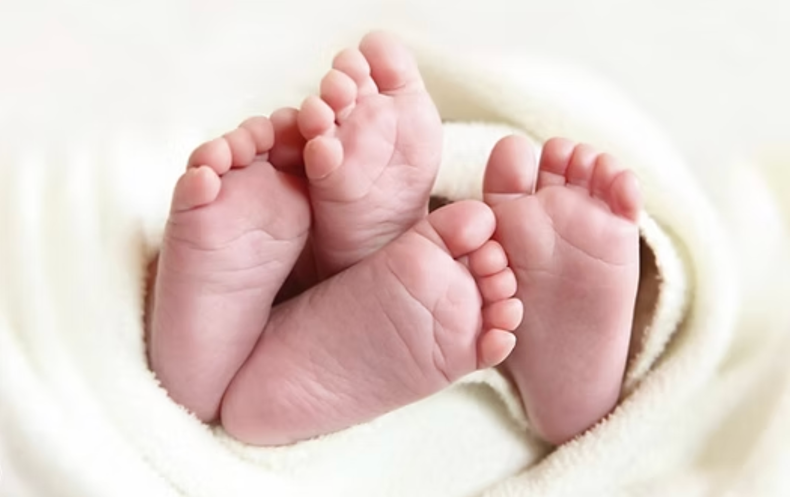 Newborn baby feet wrapped in a soft white blanket