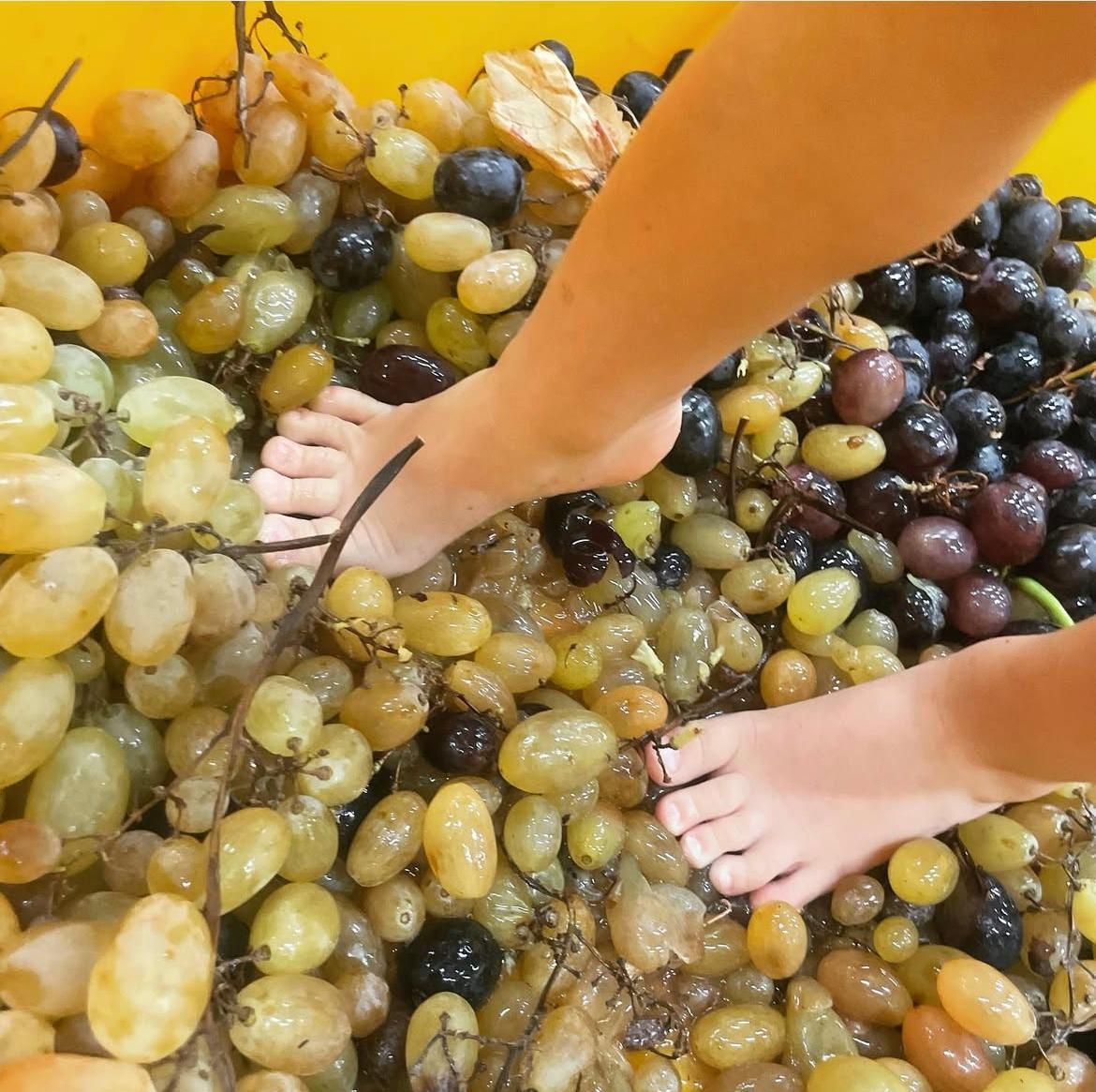 I piedi di una persona sono in un mucchio di uva