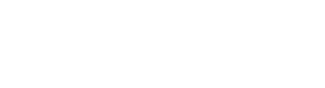 FDI Group Logo | White on transparent background