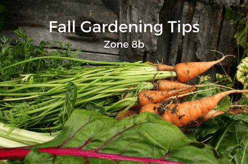 fall-gardening-zone-8b