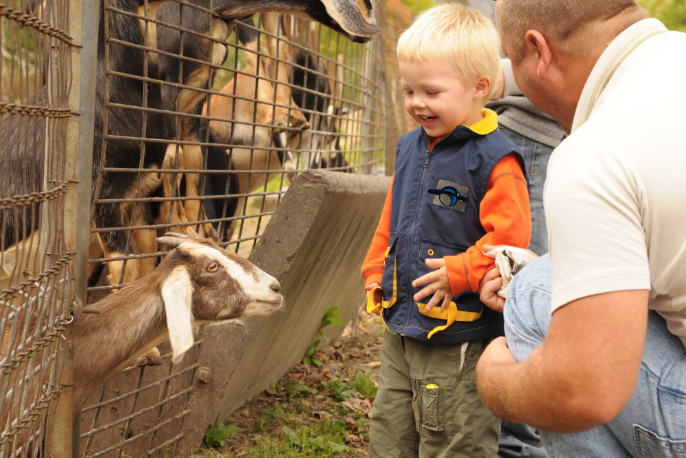 fall-farm-kitsap-kid