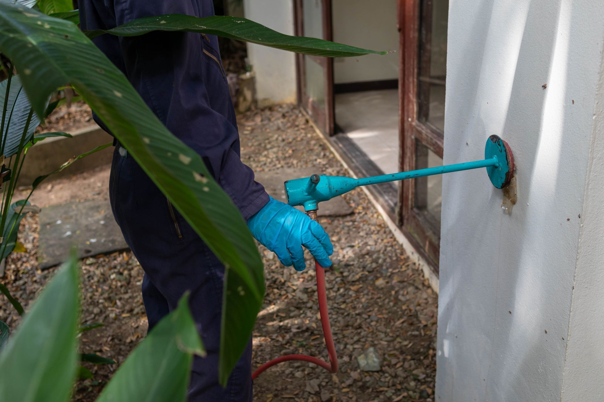 A person is spraying a wall with a sprayer.