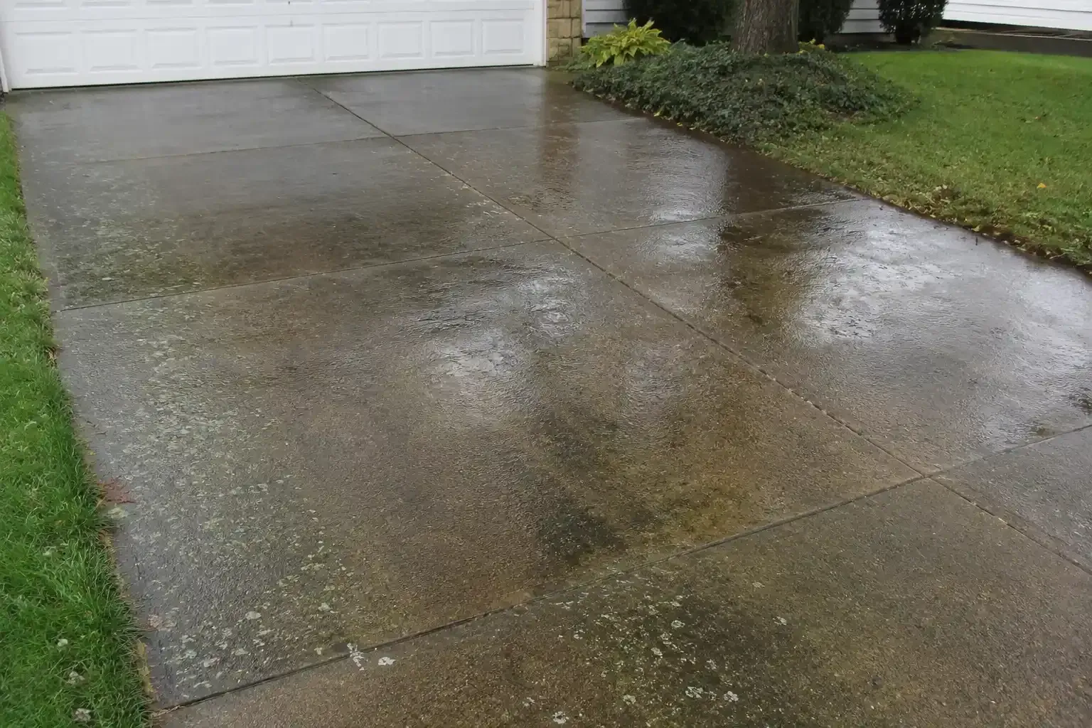 Wet concrete driveway beside a garage and green lawn after rain