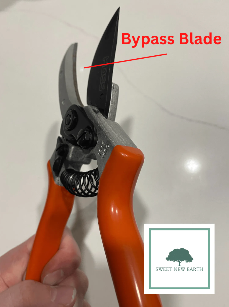 Bypass vs Anvil Pruners What is the Difference?