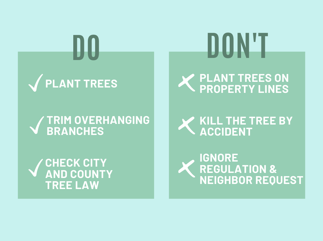 Rules For Planting Trees On Property Line Sweet New Earth