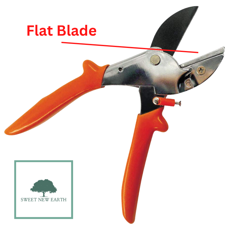 Bypass vs Anvil Pruners What is the Difference?