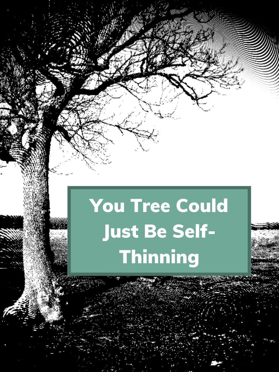 Why Do Tree Branches Die Trees In Decline