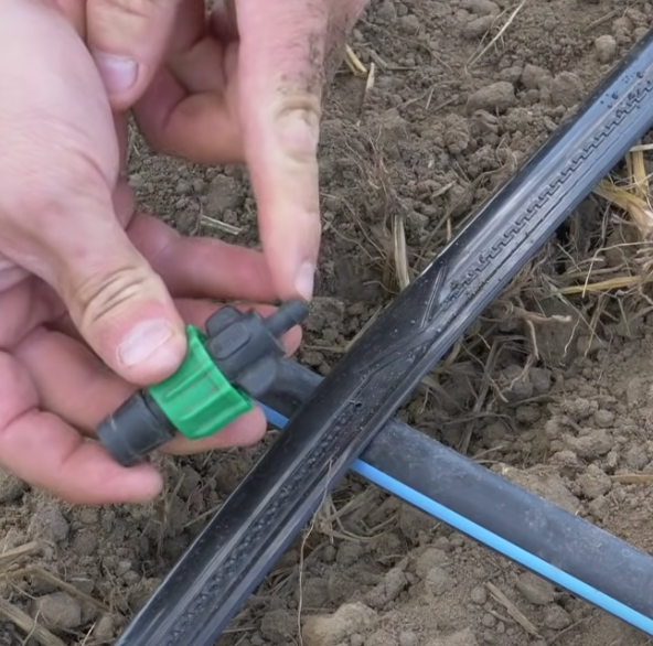 How To Lay Drip Tape