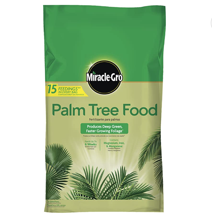 Best Palm Tree Fertilizers In 2023 Spikes, Liquid and More
