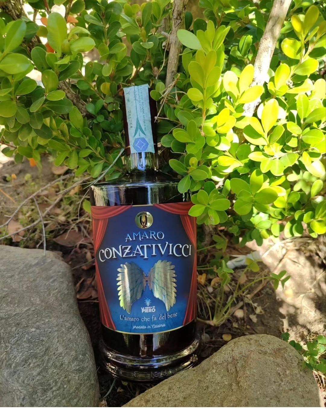 Bottiglia di vino Gonzalvecco con etichetta blu, incastonata tra cespugli verdi e rocce all’aperto