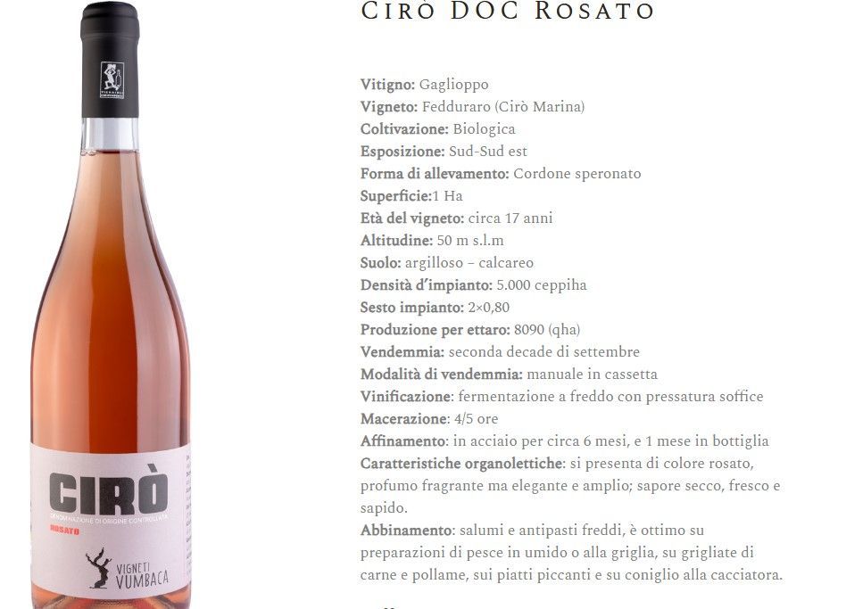 Etichetta di una bottiglia di vino Ciro DOC Rosato con i dettagli del prodotto su sfondo bianco