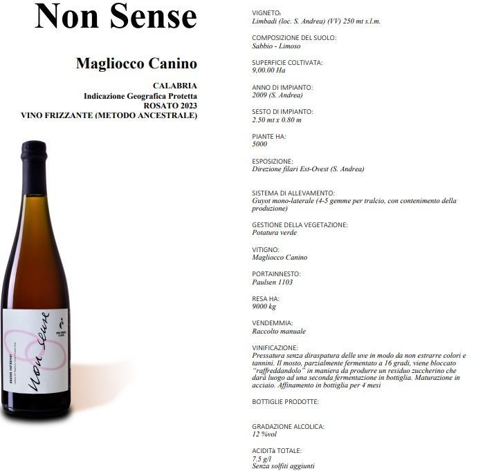 Etichetta per il vino “Non Sense” Magliocco Calabro, con foto della bottiglia e note di degustazione su sfondo bianco