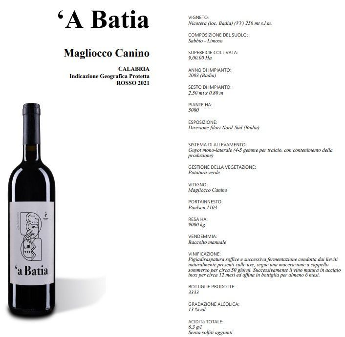 Etichetta di vino bianco per “A Batià” Magliocco Canino, con la bottiglia a sinistra e i dettagli del vino a destra