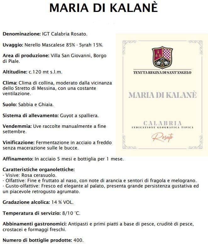 Opuscolo informativo bianco “Maria di Kalane” con testi sui vigneti, sui vini e sui prodotti calabresi.