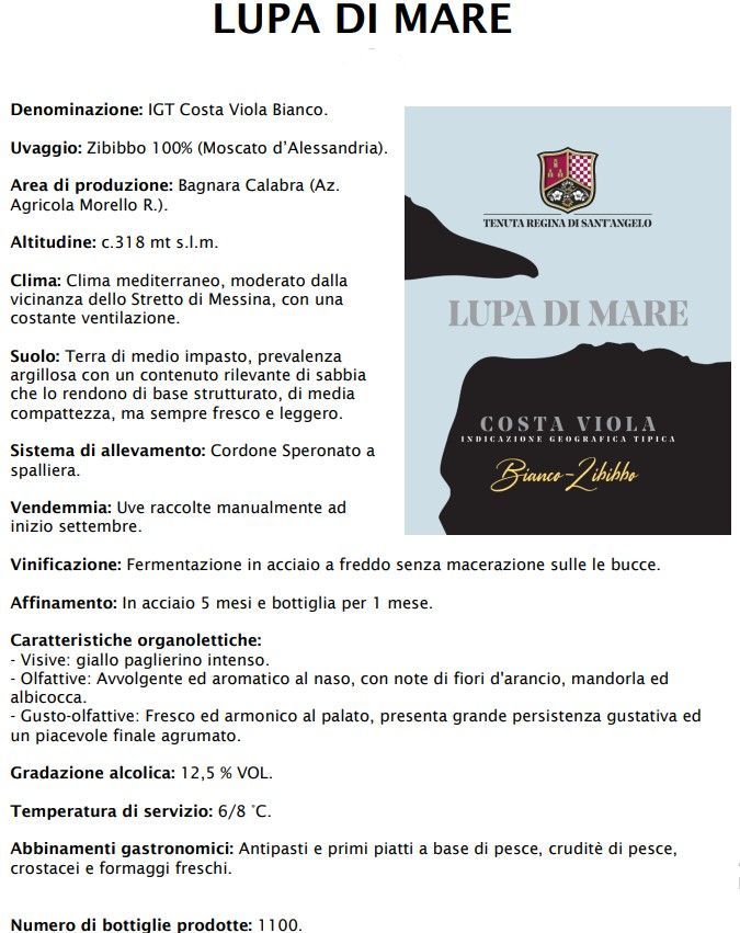 Volantino del vino LUPA DI MARE con bottiglia del prodotto, logo della cantina e note di degustazione in italiano