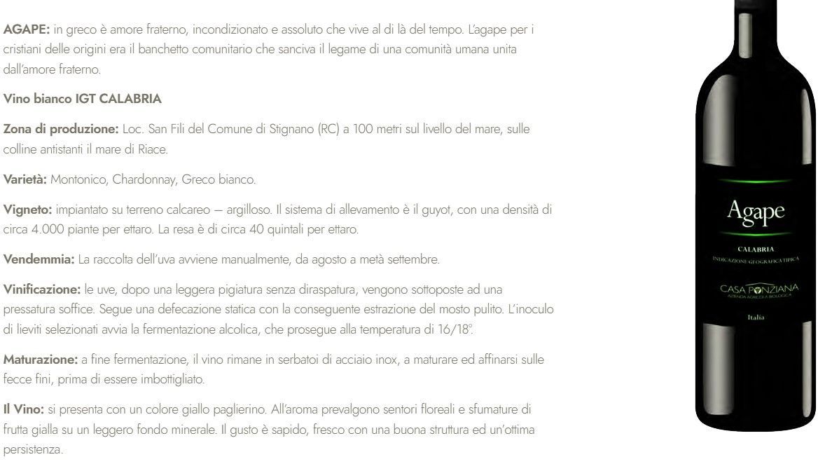 Pagina del prodotto con descrizione testuale e una bottiglia nera sulla destra