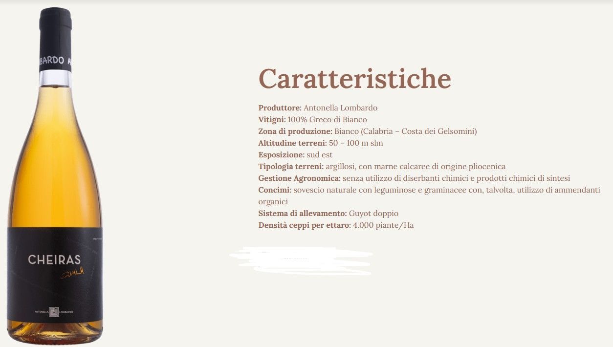 Pagina prodotto di una bottiglia di vino con il testo «Caratteristiche» e una bottiglia di spumante dorata sulla sinistra