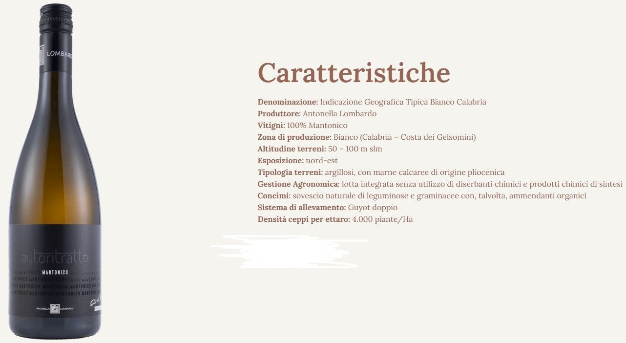 Bottiglia di vino con etichetta scura accanto a un pannello descrittivo del prodotto “Caratteristiche” su sfondo chiaro