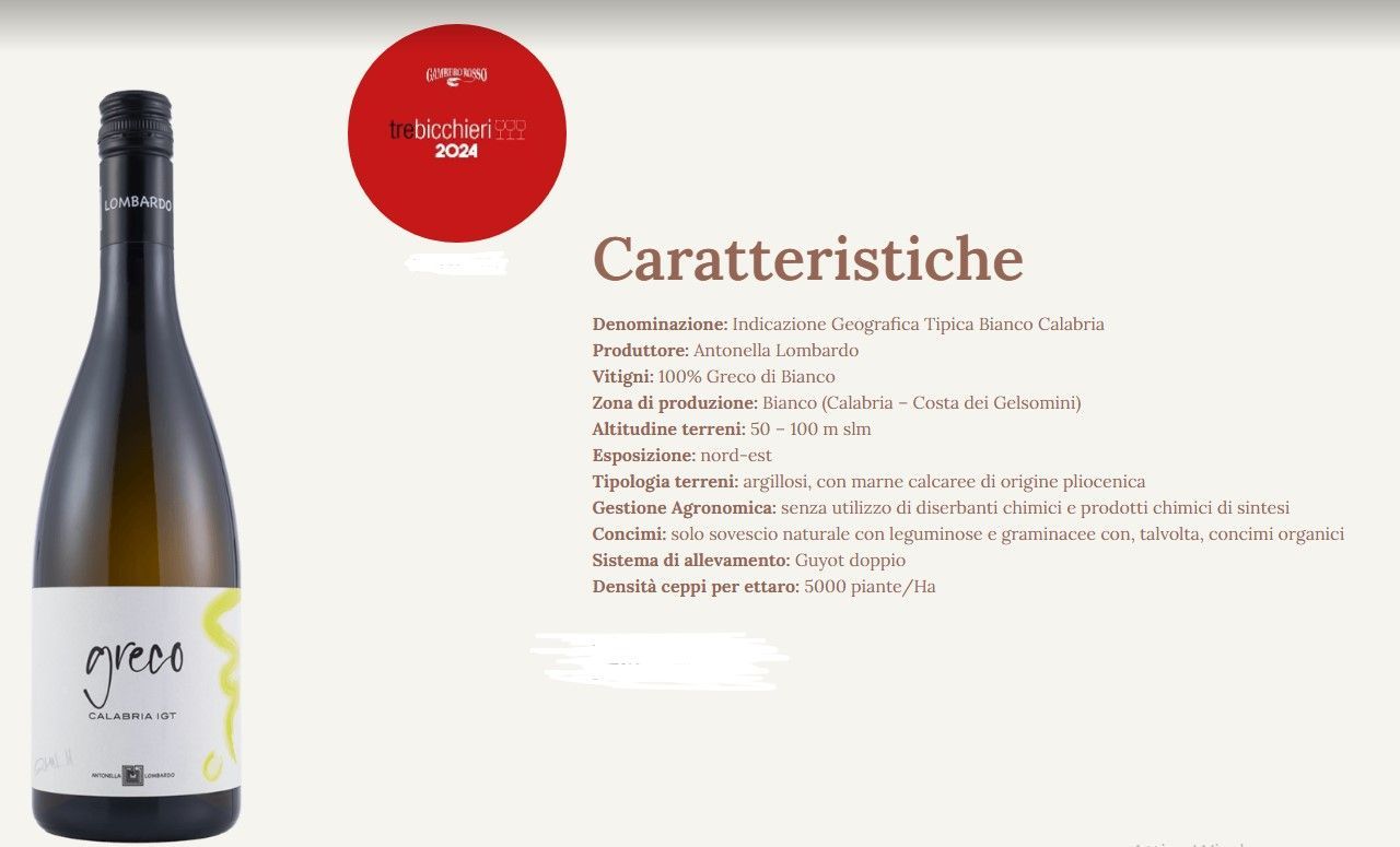 Bottiglia di vino con etichetta italiana accanto a un pannello descrittivo «Caratteristiche» su sfondo chiaro