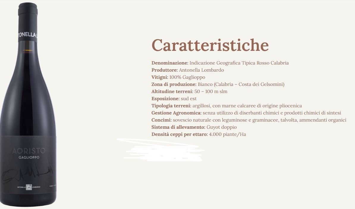 Bottiglia di vino scuro accanto ai dettagli del prodotto in italiano «Caratteristiche», su sfondo beige