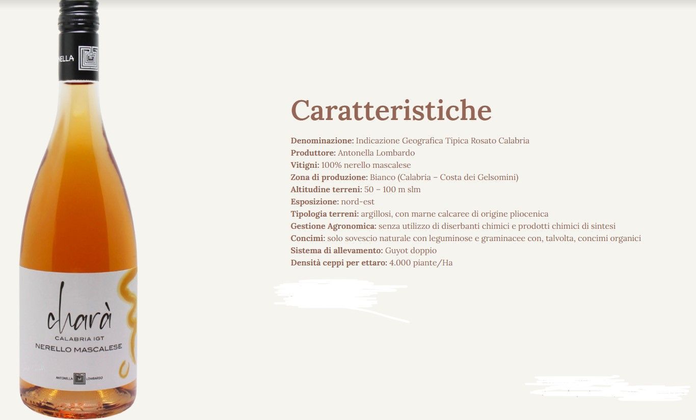 Bottiglia di vino rosé accanto a un testo in italiano intitolato «Caratteristiche», su uno sfondo color crema
