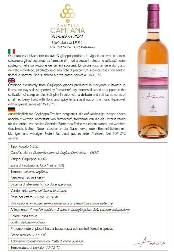 Etichetta di vino italiano con bottiglia rosa e oro e testo sui premi, con “Camarena” e note di degustazione.