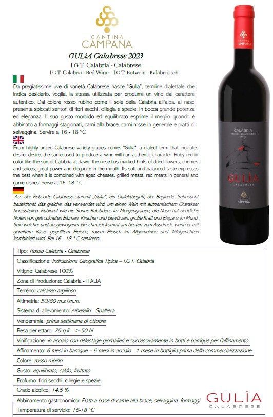 Etichetta per il vino rosso di Giulia Gallo, con dettagli testuali e l’immagine di una bottiglia su sfondo bianco