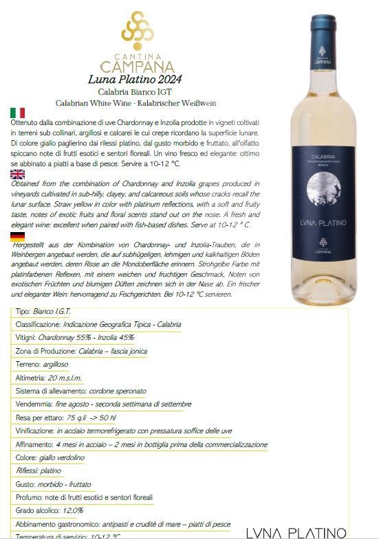 Etichetta per bottiglia di vino con grafica color crema e blu scuro, testo in italiano e immagine di una bottiglia sulla destra