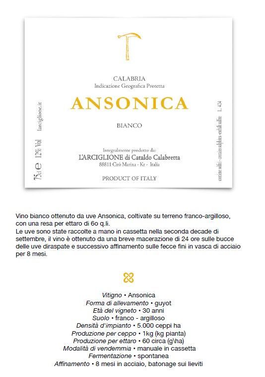 Etichetta per una bottiglia di vino Ansonica con testo dorato e nero su sfondo bianco