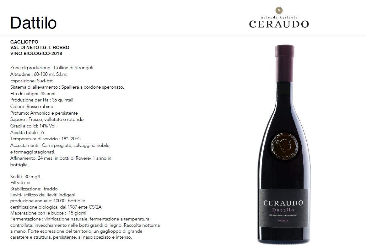 Etichetta Dattilo per vino con note di degustazione e una bottiglia rosso scuro su sfondo bianco