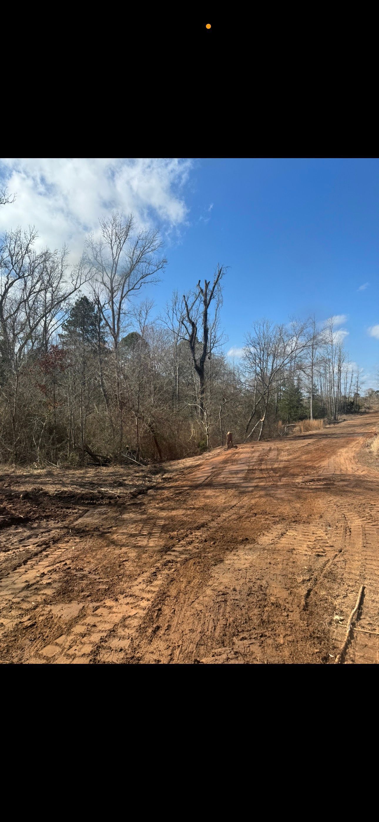 Dirt road curving through a leafless wooded area under a clear blue sky