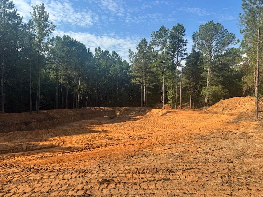 Cleared dirt lot bordered by pine trees under a blue sky, with a pile of soil on the right.