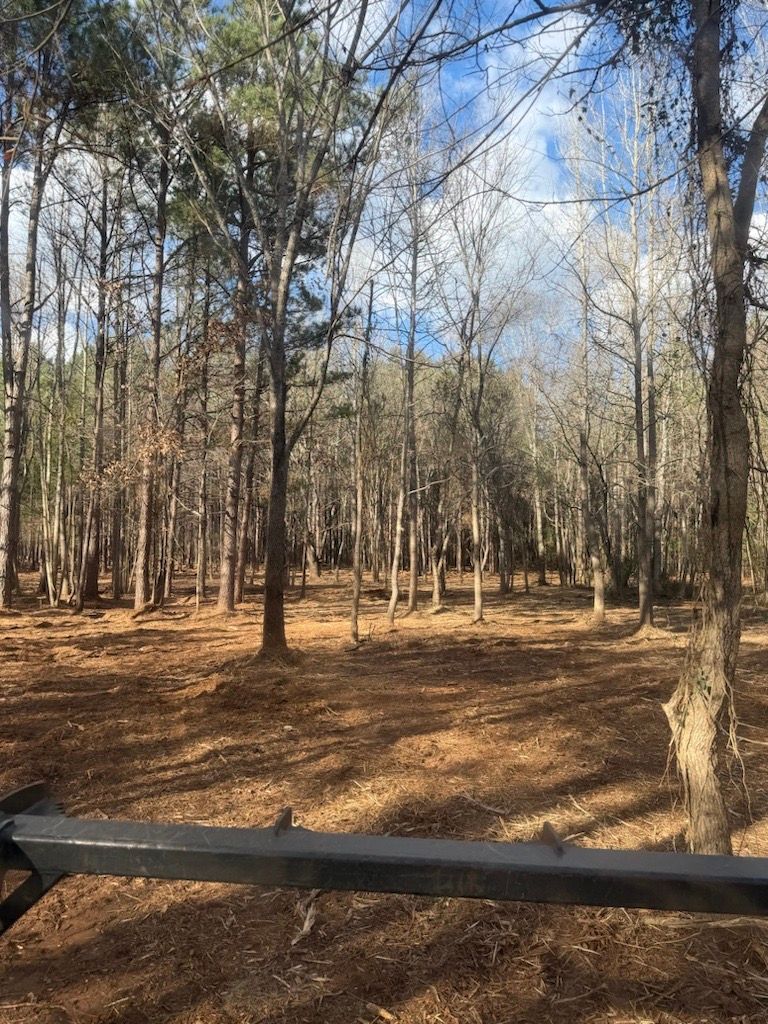 Bare deciduous forest with leaf-covered ground and a black metal rail in the foreground
